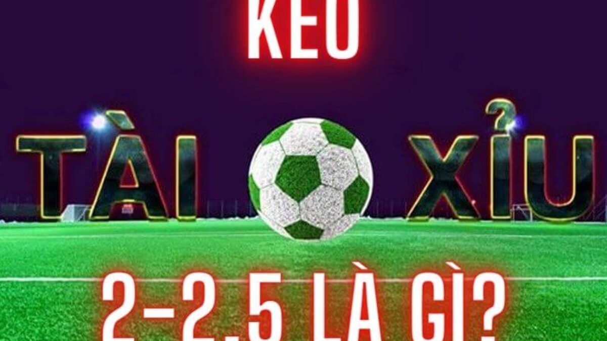 kèo 2 2.5 là gì - 3